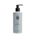 Björk Ag SILVER CONDITIONER
